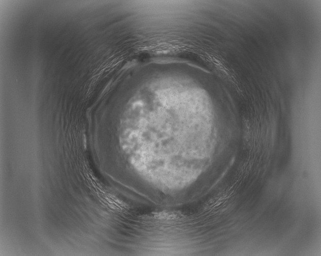 X0000052570545200507221505