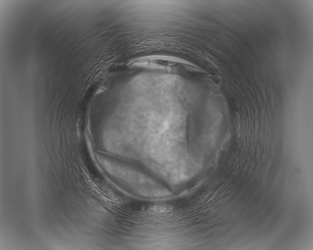 X0000052570546200507221505