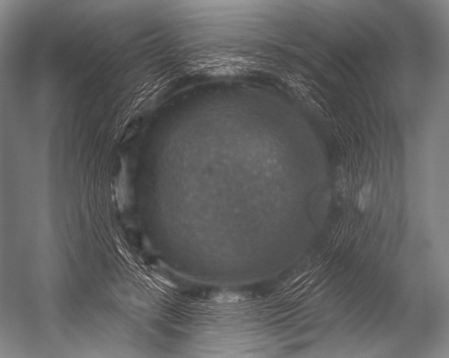 X0000052570547200507221505