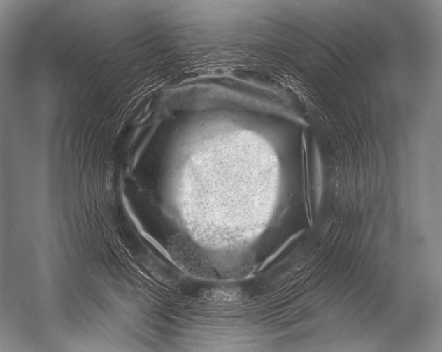 X0000052570548200507221505