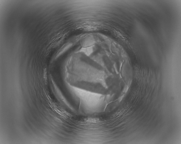 X0000052570549200507221505