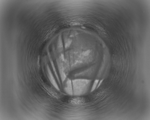 X0000052570550200507221505