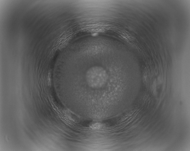 X0000052570551200507221505