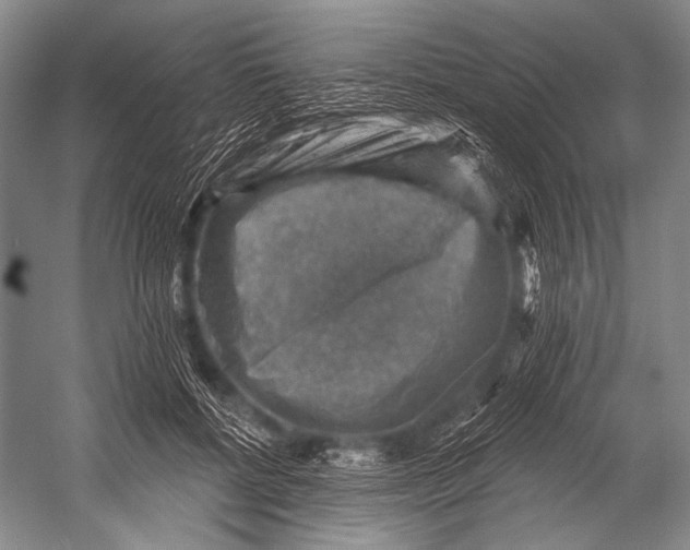 X0000052570552200507221505