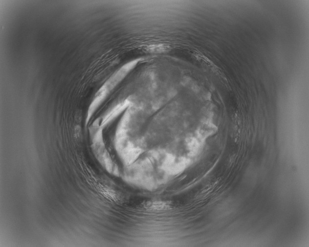 X0000052570553200507221505