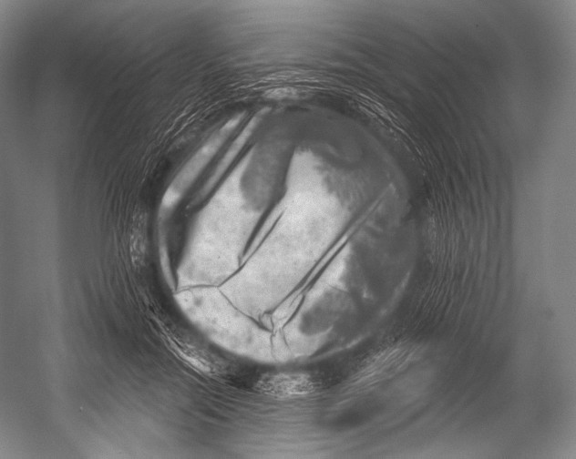 X0000052570554200507221505