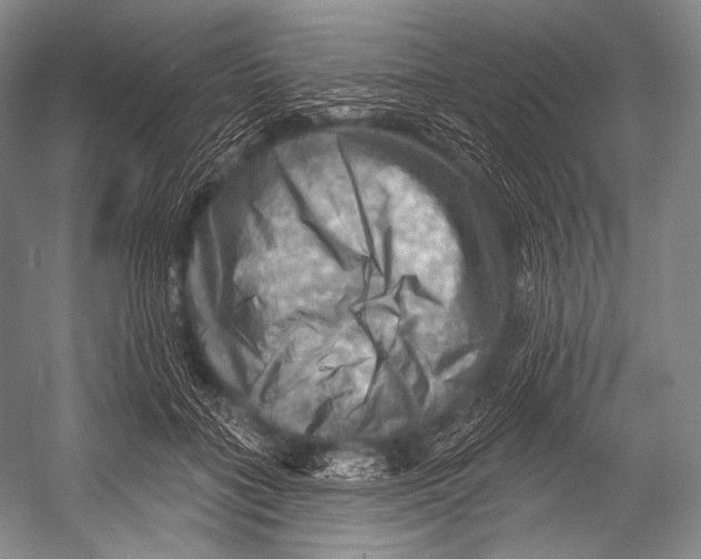 X0000052570555200507221505