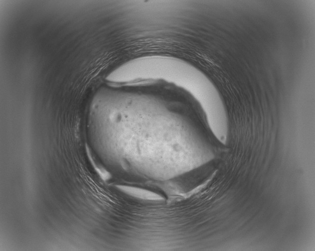 X0000052570556200507221505