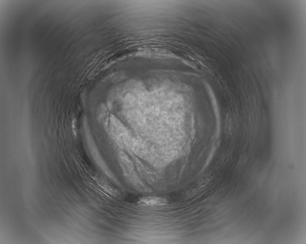 X0000052570557200507221505