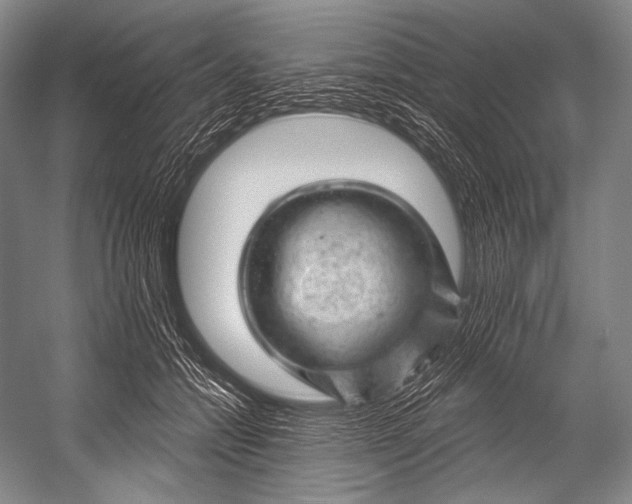 X0000052570558200507221505