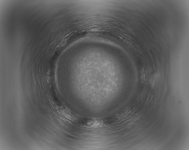 X0000052570559200507221505