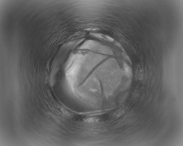 X0000052570561200507221505