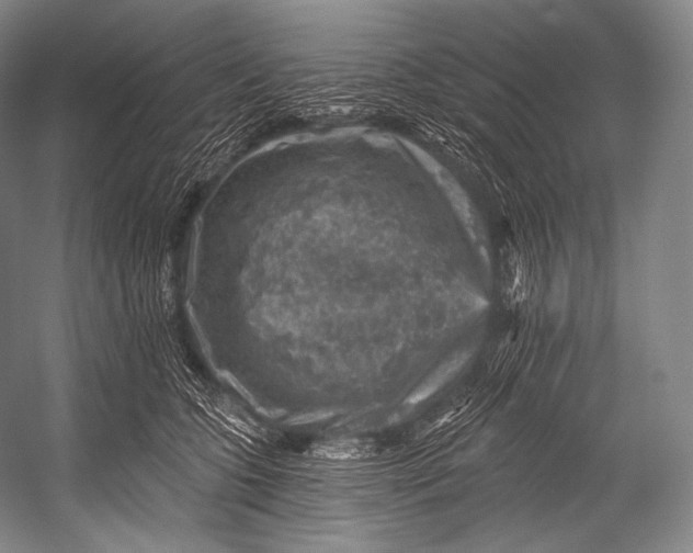 X0000052570563200507221505