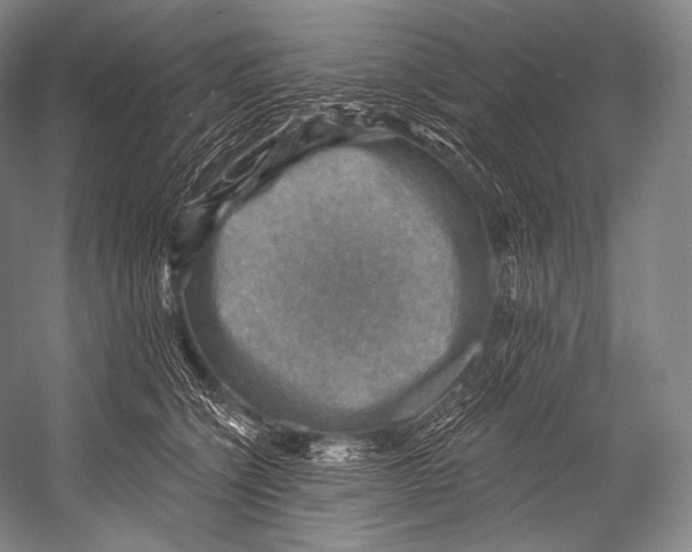 X0000052570564200507221505