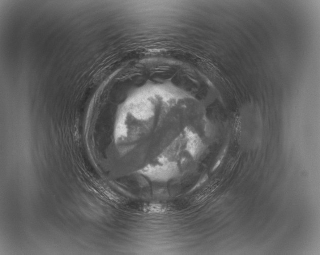 X0000052570565200507221505