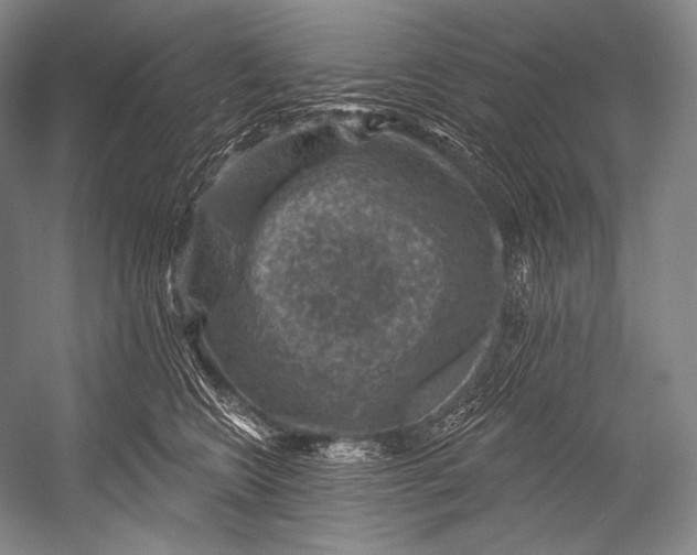 X0000052570566200507221505