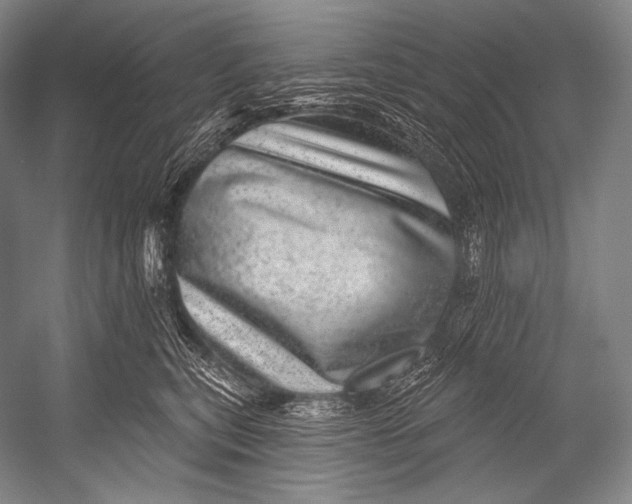 X0000052570567200507221505