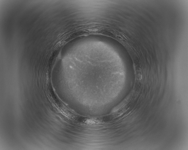 X0000052570568200507221505