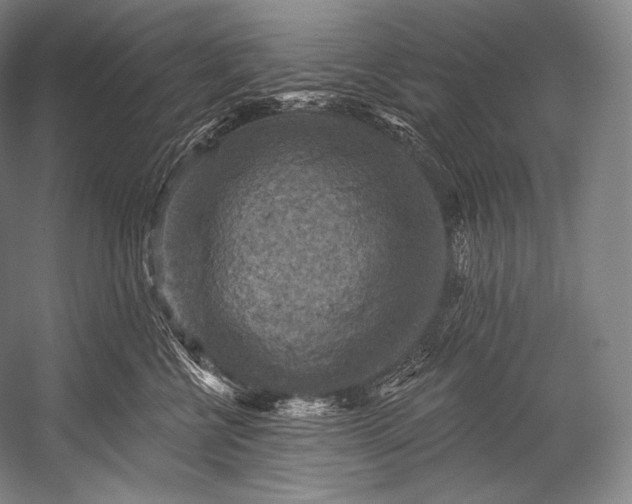 X0000052570570200507221505