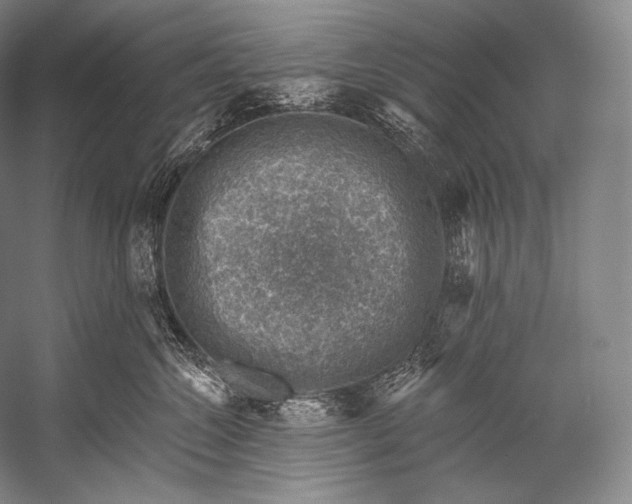 X0000052570572200507221505