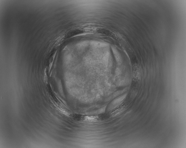 X0000052570573200507221505