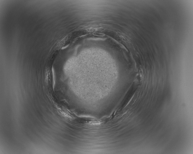 X0000052570574200507221505