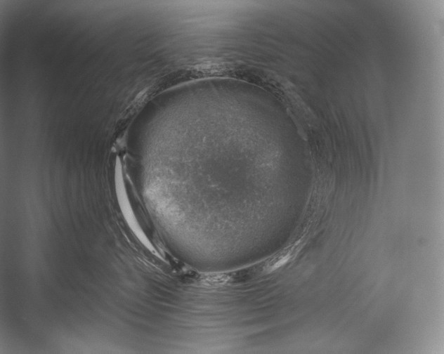 X0000052570576200507221505