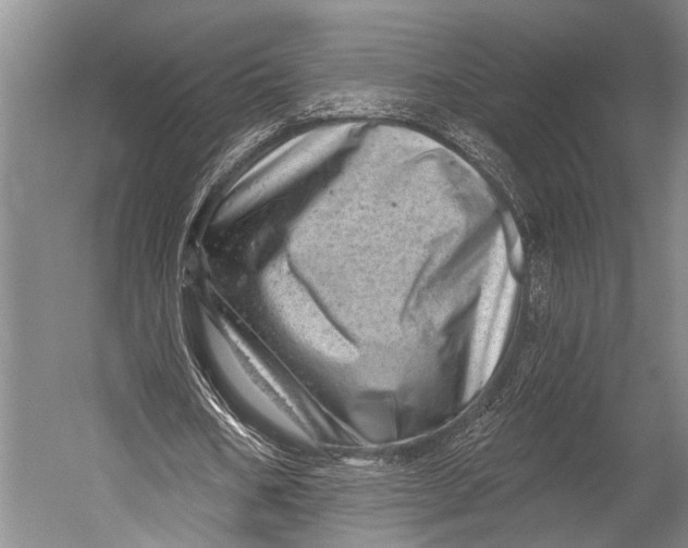 X0000052570578200507221504