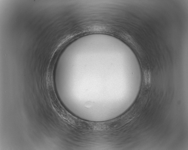 X0000052570579200507221504