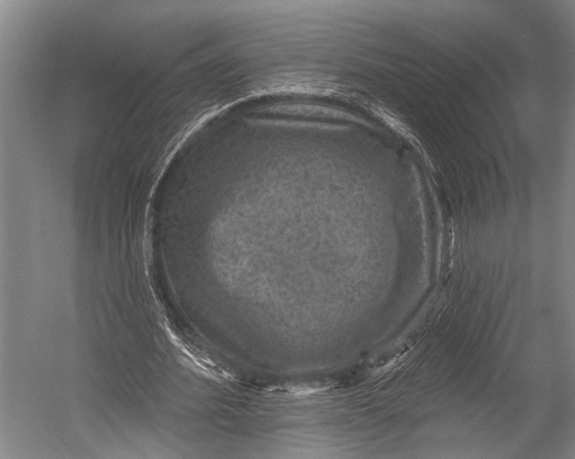 X0000052570580200507221504