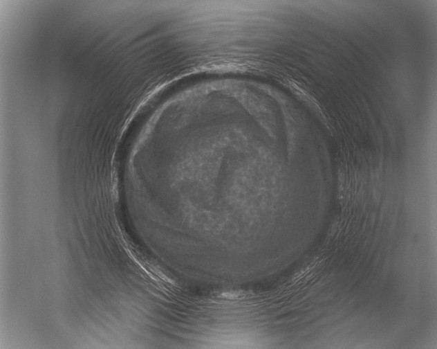 X0000052570584200507221504