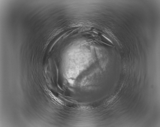 X0000052570585200507221504