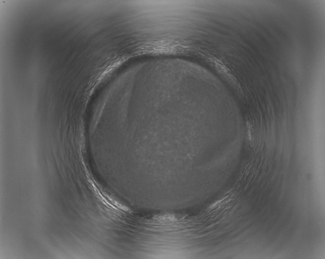 X0000052570588200507221504