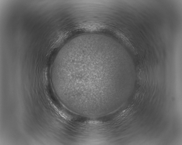 X0000052570590200507221504