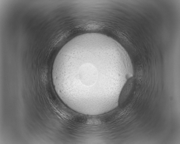 X0000052570591200507221504