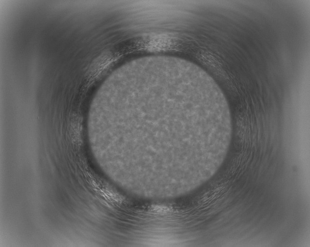 X0000052570592200507221504