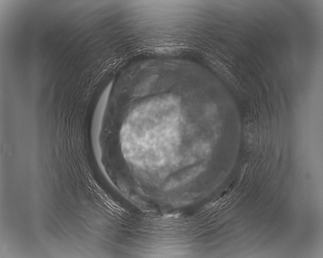 X0000052570593200507221504