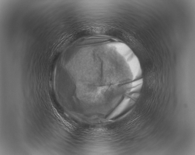 X0000052570594200507221504