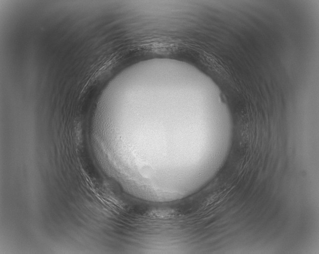 X0000052570595200507221504