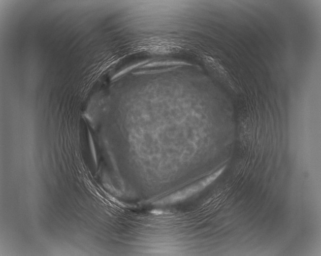 X0000052570596200507221504