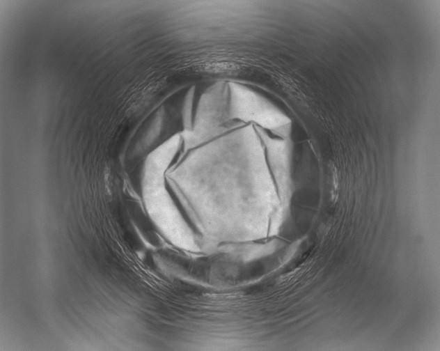 X0000052570597200507221504