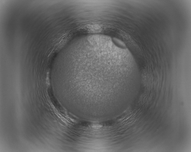 X0000052570598200507221504