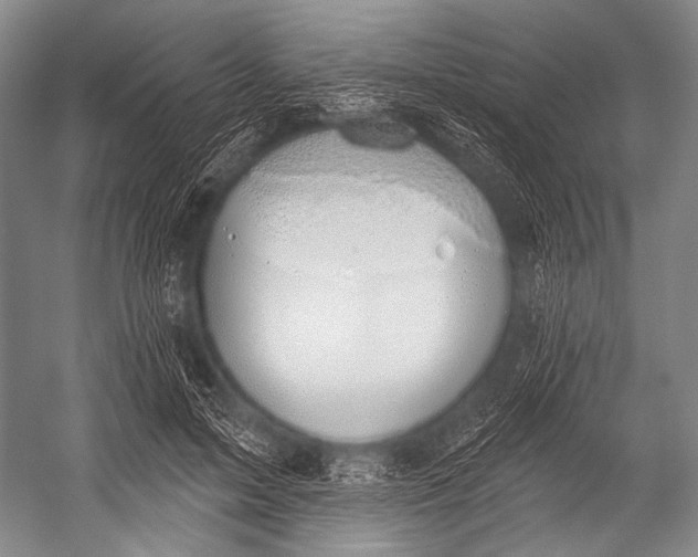 X0000052570599200507221504