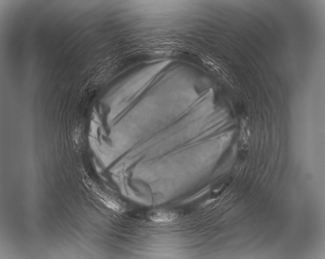 X0000052570601200507221504