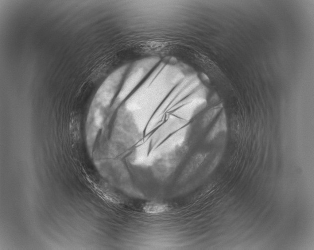 X0000052570602200507221504