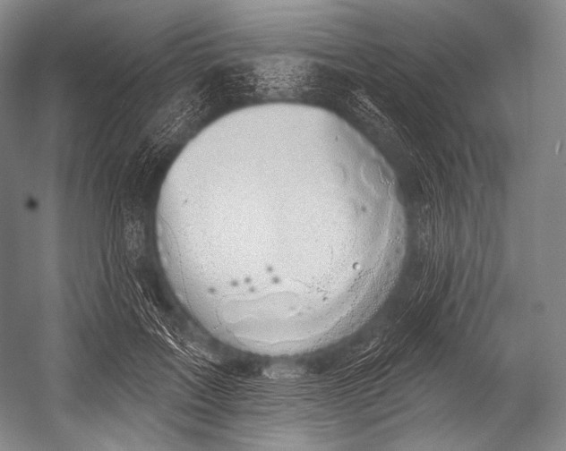 X0000052570603200507221504