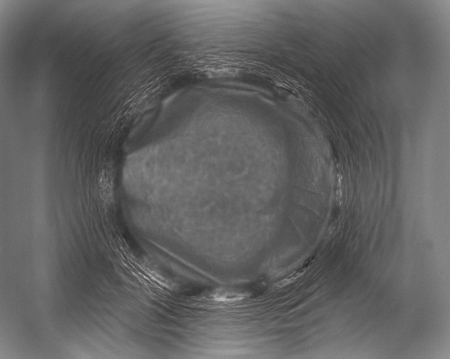 X0000052570604200507221504