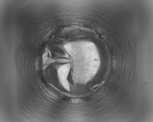 X0000052570605200507221504