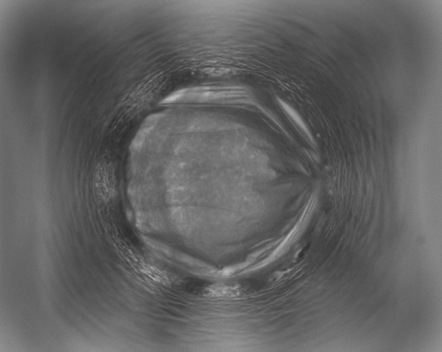 X0000052570606200507221504