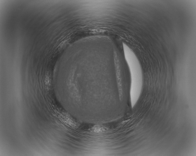 X0000052570608200507221504